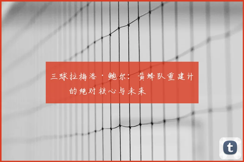 三球拉梅洛·鲍尔：黄蜂队重建计划的绝对核心与未来