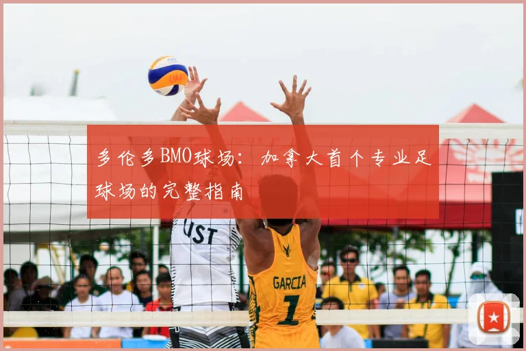 多伦多BMO球场：加拿大首个专业足球场的完整指南